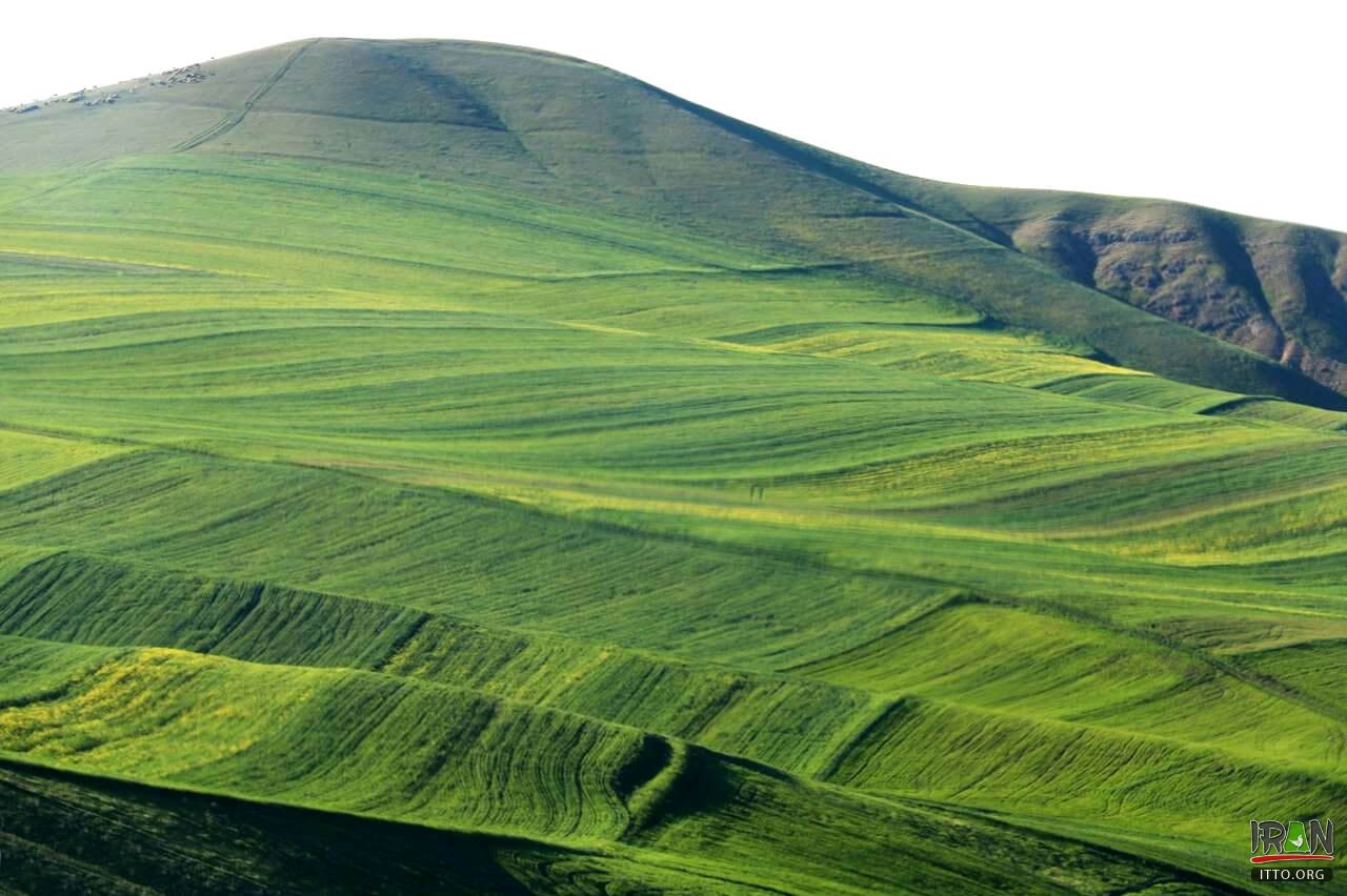Moghan Plain,Dasht-e Moghaan,دشتمغان,دشت مقان,دشت مغان,Moghaan,Dashemoghan,dasht moghan,dashte moghaan,mugan,mughan,mugaan,ardebil,ardabil,ardebyl