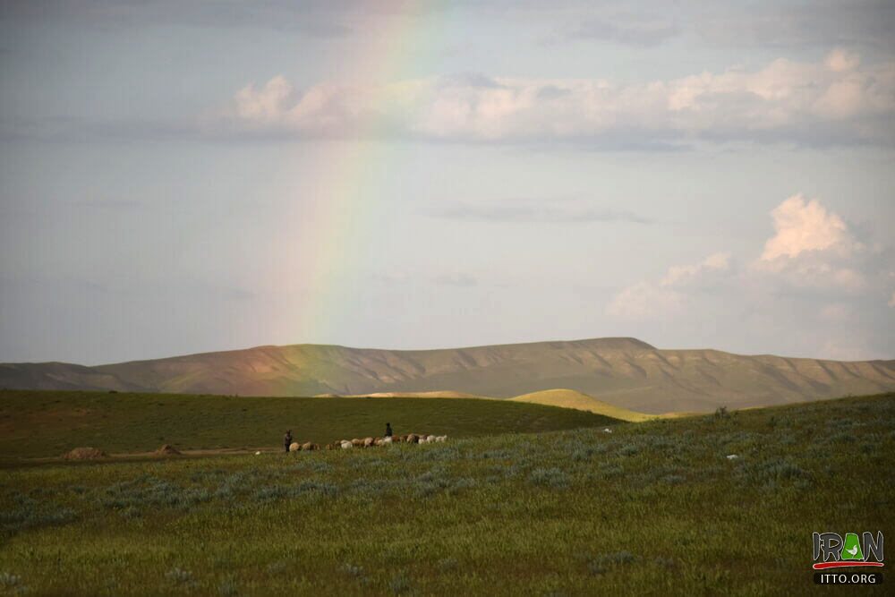 Moghan Plain,Dasht-e Moghaan,دشتمغان,دشت مقان,دشت مغان,Moghaan,Dashemoghan,dasht moghan,dashte moghaan,mugan,mughan,mugaan,ardebil,ardabil,ardebyl