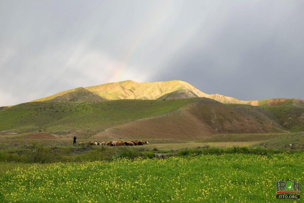 Moghan Plain,Dasht-e Moghaan,دشتمغان,دشت مقان,دشت مغان,Moghaan,Dashemoghan,dasht moghan,dashte moghaan,mugan,mughan,mugaan,ardebil,ardabil,ardebyl