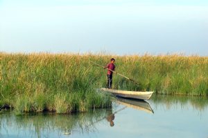 Shadegan Wetland