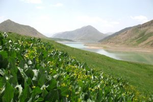 Lar Dam Lake - Border of Mazandaran and Tehran Province