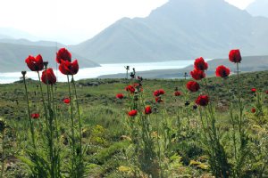 Lar Dam Lake - Border of Mazandaran and Tehran Province