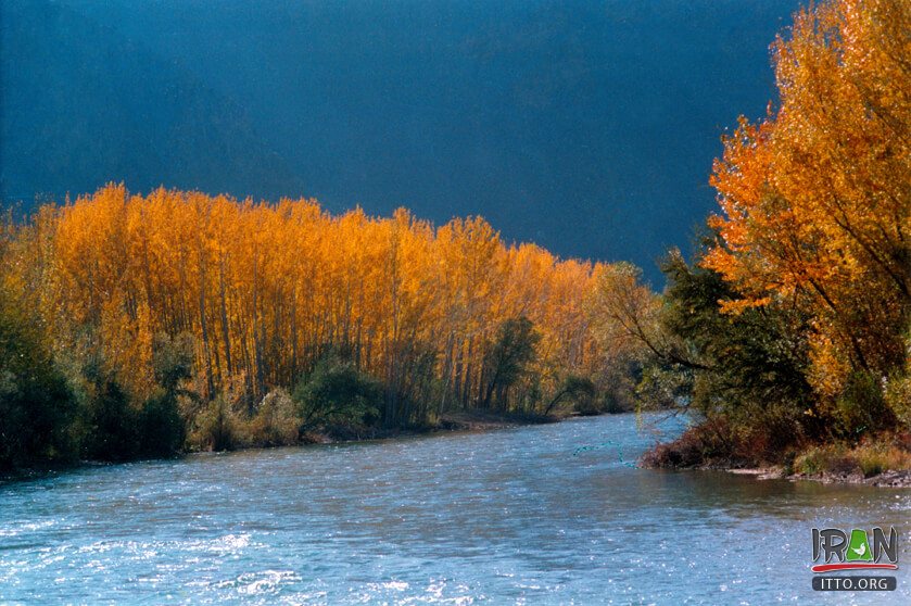 Zayanderud,Payandeh Rood,Payanderud,Zayandeh-Rood,Zayanderood,زایندرود,زاینده رود,اصفهان,isfahan,esfahan