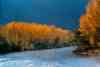 Zayanderud,Payandeh Rood,Payanderud,Zayandeh-Rood,Zayanderood,زایندرود,زاینده رود,اصفهان,isfahan,esfahan