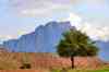 Kuh-e Haft Tanan,Haftanoon Mountain,Haftanun,کوه هفتنان,هفتنون,haft tanoon,haft tanan mountain,khuzestan,خوزستان