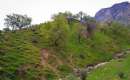 Gachsaran (Gachsaaraan, Dogonbadan) (Thumbnail)