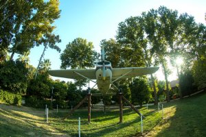 Afif-Abad Garden (Gulshan Garden) - Shiraz