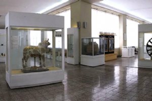 National Museum of Iran