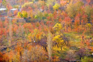 Afjeh Village - Lavasan (Tehran Province)