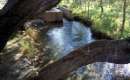 Cheshmeh Gilas - Chenaran (Thumbnail)
