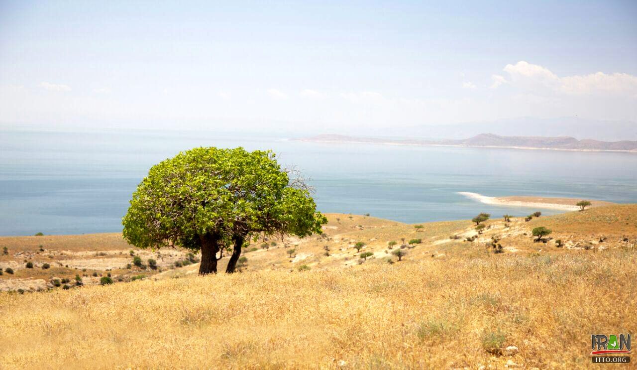 Quyun Daqi Island,Kabudan Island,Kaboudan,Qoyundağı adası,کبودان,جزیره جزیره قویون داغی,قیون داغی,kabodan island,urmia lake,urmia island,جزیره دریاچه ارومیه,دریاچه اورمیه,oroumieh lake,urmieh lake,oromieh lake,kaboodan island,Qoyundagı adasi,Qoyundaqı adasi,quyundaghi adasi