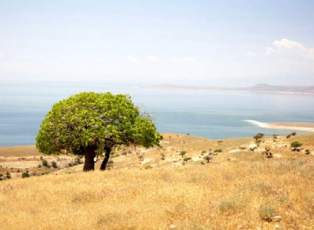 Kaboodan Island (Qoyundagi) - Urmia Lake