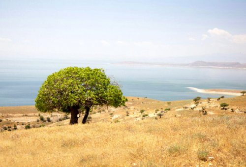 Kaboodan Island (Qoyundagi) in Orumieh