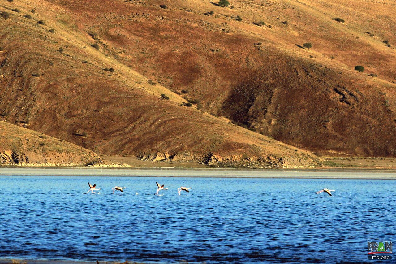 Quyun Daqi Island,Kabudan Island,Kaboudan,Qoyundağı adası,کبودان,جزیره جزیره قویون داغی,قیون داغی,kabodan island,urmia lake,urmia island,جزیره دریاچه ارومیه,دریاچه اورمیه,oroumieh lake,urmieh lake,oromieh lake,kaboodan island,Qoyundagı adasi,Qoyundaqı adasi,quyundaghi adasi