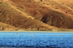 Kaboodan Island (Qoyundagi) - Urmia Lake