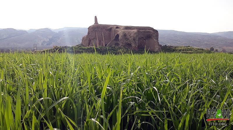 Ardeshir Palace,Ardashir Castle,Kooshk-e Ardashir,boushehr,boshehr,dashtestan,kooshke ardeshir,koosh ardeshir,koshk ardeshir,kushk ardeshir,koushk ardeshir,کوشک اردشیر,دشتستان,بهشتان,استان بوشهر,bushehr province,boushehr province,ardashir palace,kooshke ardashir