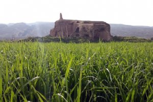 Ardeshir Castle (Kooshk-e Ardashir) - Dashtestan