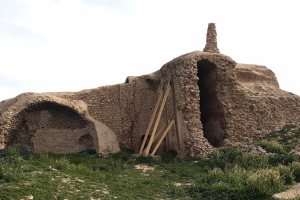 Ardeshir Castle (Kooshk-e Ardashir) - Dashtestan
