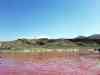 Maharlu Lake,Pink Lake,Daryacheh Maharloo,maharlo,دریاچه مهارلو,daryacheye maharlo,maharlou,maharluo,maharlu,maharloo,