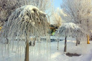 Winter in Bostanabad (Bostan Abaad)
