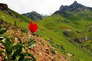 Chehel Cheshmeh Mountain - Kurdistan Province