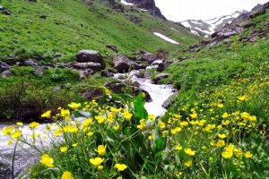 Chehel Cheshmeh Mountain - Kurdistan Province