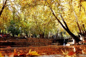Autumn in Bojnord (Bojnurd)