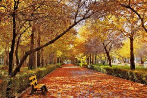Autumn in Bojnord (Bojnurd)