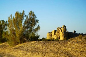 Timur Castle (Zahedan-e Kohne) - Sistan va Balouchestan