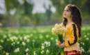 Persian Narcissus (Daffodil) Farms - Behbahan (Thumbnail)