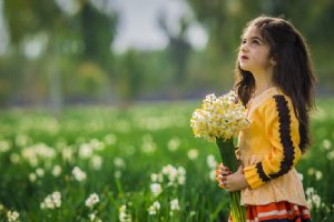 Persian Narcissus (Daffodil) Farms - Behbahan