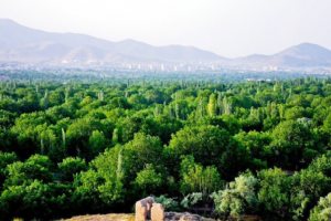 Gardens in Senejan near Arak (Araak)