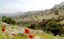 Andimeshk (Thumbnail)