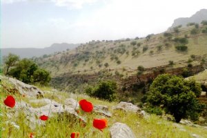 Andimeshk