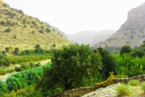 Andimeshk