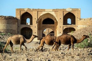 Kavir National Park and Wildlife