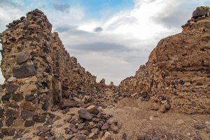 Kavir National Park and Wildlife