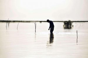 Hamoon Lake - Sistan va Balouchestan Province
