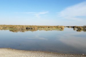 Hamoon Lake - Sistan va Balouchestan Province