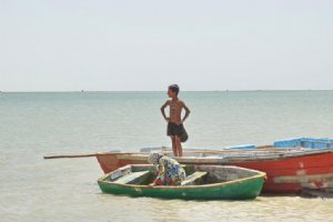 Hamoon Lake - Sistan va Balouchestan Province