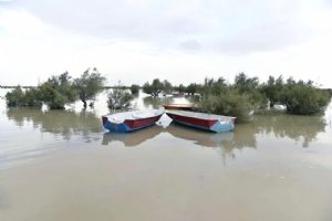 Hamoon Lake - Sistan va Balouchestan Province