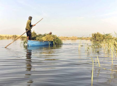 Hamoon Lake - Sistan va Balouchestan Province