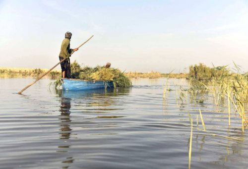 Hamoon Lake in Zabol