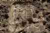 Anubanini Inscription,Sarpol-i Zohab relief,The Anubanini petroglyph,anobanini,anubanini,anuba nini,آنوبانینی,آنوبا نی نی,انوبانی نی,sarpolzahab,sarepolezahab,sare pole zahab,سرپلذهاب,سر پل ذهاب,سرپل زهاب,Sarpol Zahab,سنگ نگاره آنوبانینی,نقش برجسته آنوبا نی نی