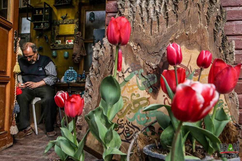 Iran art museum and garden,Iran Art Garden,Sepahbod Garden,Iran Art Museum Garden,باغ موزه هنر ایرانی,باغ هنر ایرانی,موزه هنر ایرانی,باغ سپهبد,tehran,تهران,dr hessabi,dr hesabi,دکتر حسابی