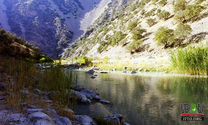 Zamkan River - Kermanshah