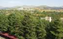 Delijan (Thumbnail)