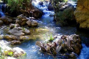 Margoon River - Sepidan (Ardekan) Fars Province