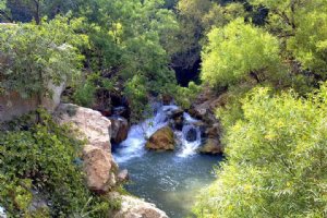Margoon River - Sepidan (Ardekan) Fars Province