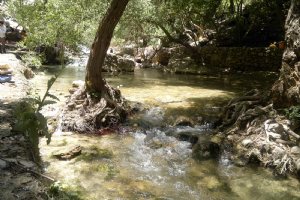 Margoon River - Sepidan (Ardekan) Fars Province